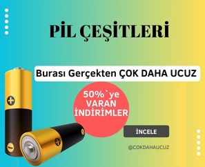 Pil Çeşitleri